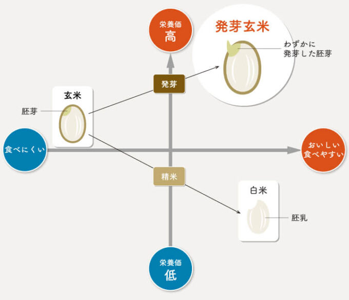 ファンケルの発芽玄米は危険じゃない!安全性や栄養と効果を徹底調査! くらし便利帖